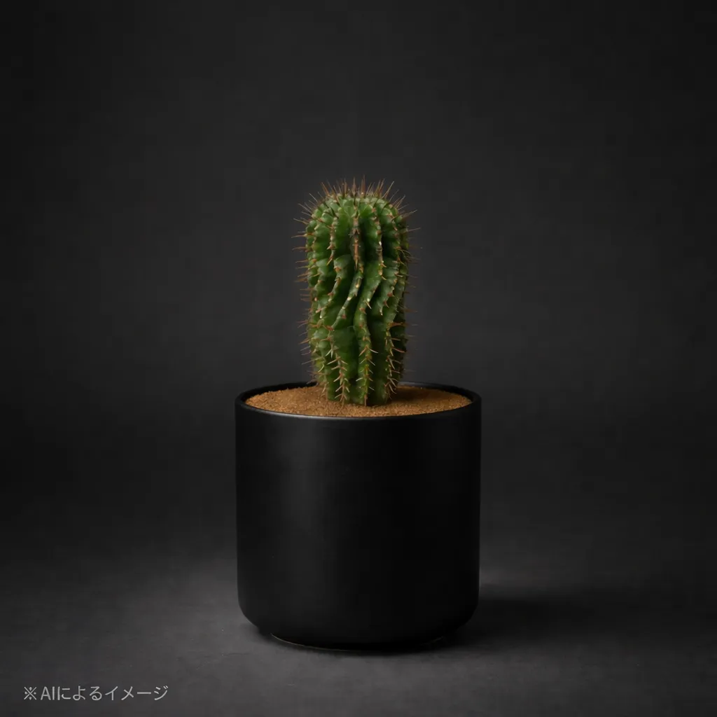 ユーフォルビア・ポリゴナ