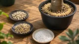 塊根植物の固形肥料